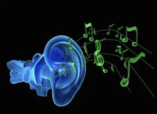 Salud… Música para mis oídos