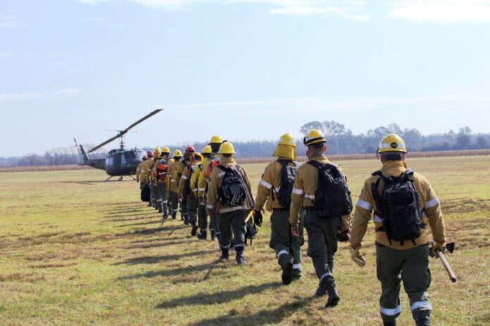 p1 brigada