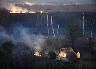 El viento reactivó los focos de fuego en islas del delta