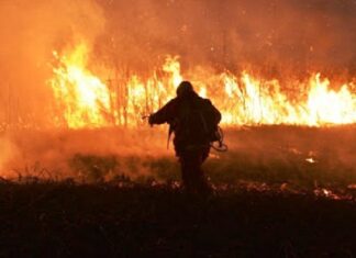INCENDIOS. Entre Ríos aporta datos catastrales a la Justicia