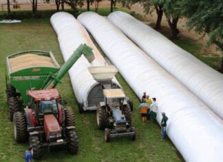 La comercialización de la soja con retraso