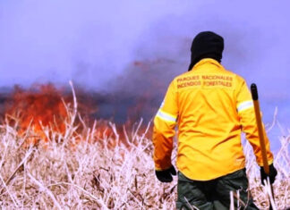Detuvieron a tres personas acusadas por provocar incendios