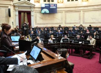 El Senado sesiona para repudiar el atentado contra la Vicepresidenta