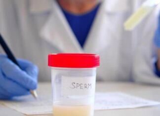 En Francia las personas concebidas mediante donación podrán conocer su origen