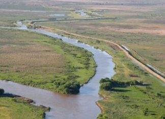 DELTA. Busca que las islas sean áreas naturales