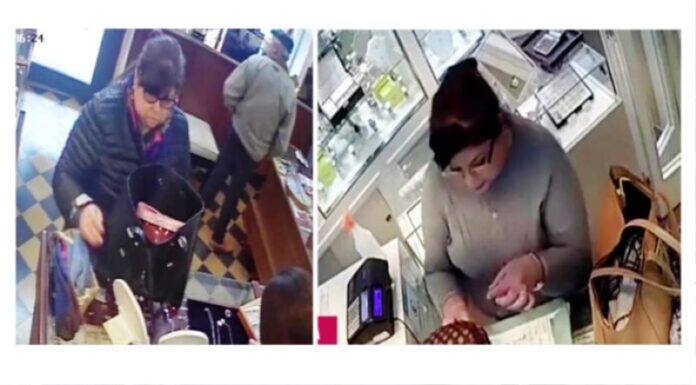 Pagina 6 (1) Se estaría por entregar la mujer que robó en la ciudad