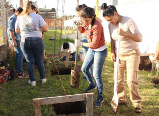 CAFESG y una ONG capacitarán a mujeres en albañilería