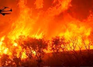 Suman drones militares para detectar incendios