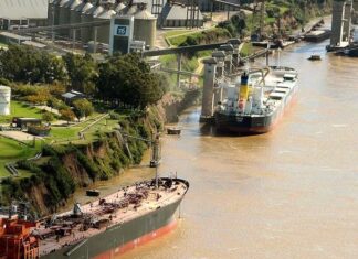 SOJA. Nueve firmas extranjeras lideran exportaciones