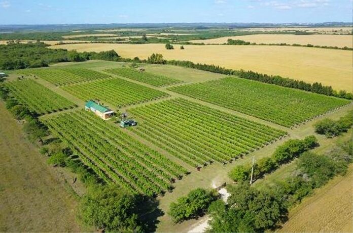 p2 - Entre Ríos incorpora