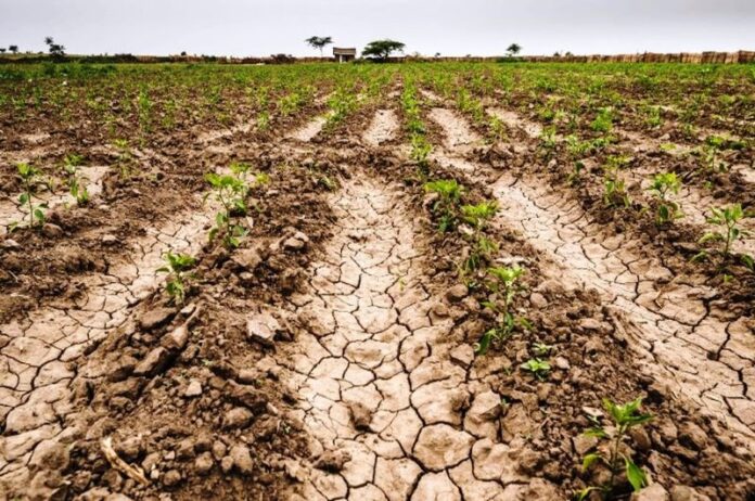 p2 - La Niña podría darse por tercer año consecutivo