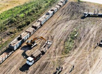 Puertos y los trenes las claves del desarrollo