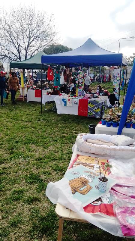 p5 feria la delfina5
