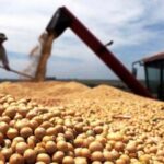 p8 – Las ventas de soja suman 13,8 millones de toneladas