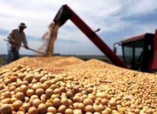 Las ventas ya alcanzan los 14 millones de toneladas
