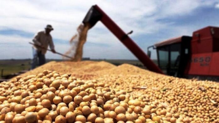 p8 - Las ventas de soja suman 13,8 millones de toneladas