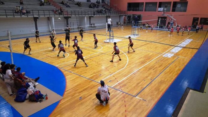 DEPORTES P 11 VOLEY
