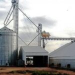 Pagina 7 Un adolescente cayó adentro de un silo de cereales y murió asfixiado