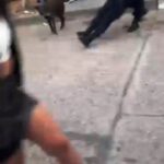 Pagina 7 policia y joven heridos2