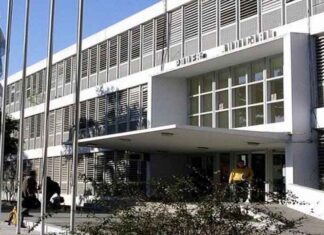 Sentencia cámara segunda Stratta c/David