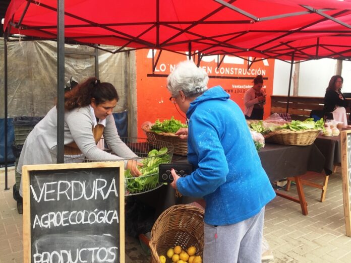 p1 la feria en tu barrio2