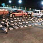 p14 Bolsas de soja