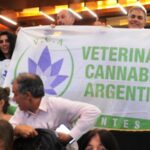 p14 Veterinarios cannábicos