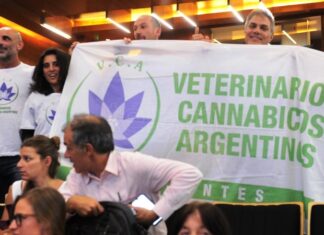 El cannabis medicinal puede crear 10.000 puestos