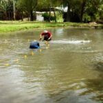 p2 – Se proyecta la producción acuícola en la provincia