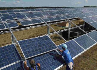 Entre Ríos divulga los proyectos de desarrollo tecnológico de investigadores