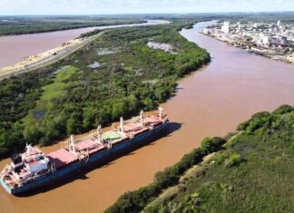 Comenzó otro embarque de madera desde el Puerto