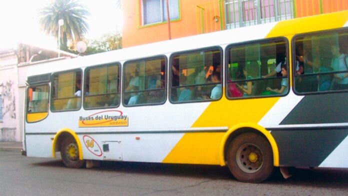 p3 transporte urbano1