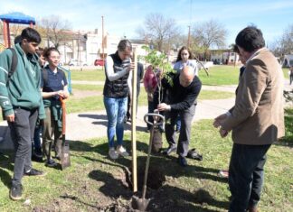 Continúa la plantación de árboles en la costanera