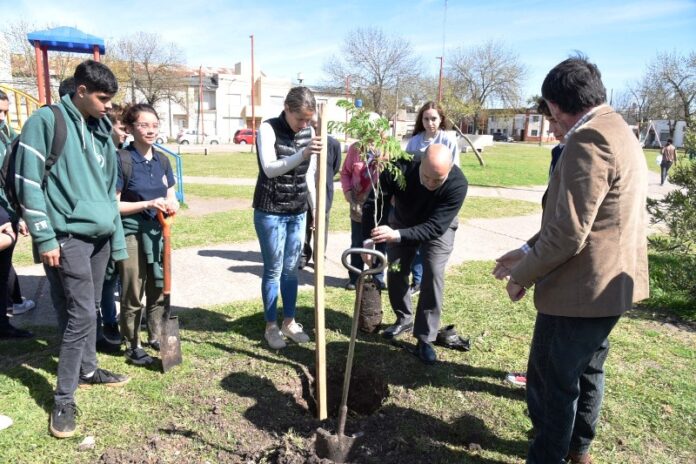 p4 Plantamos memoria - +írboles (3)