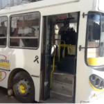 p5 colectivos1