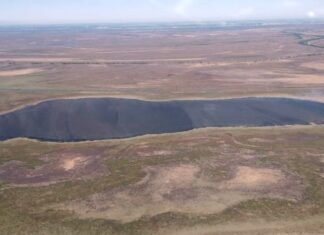 Están contenidos los últimos focos detectados