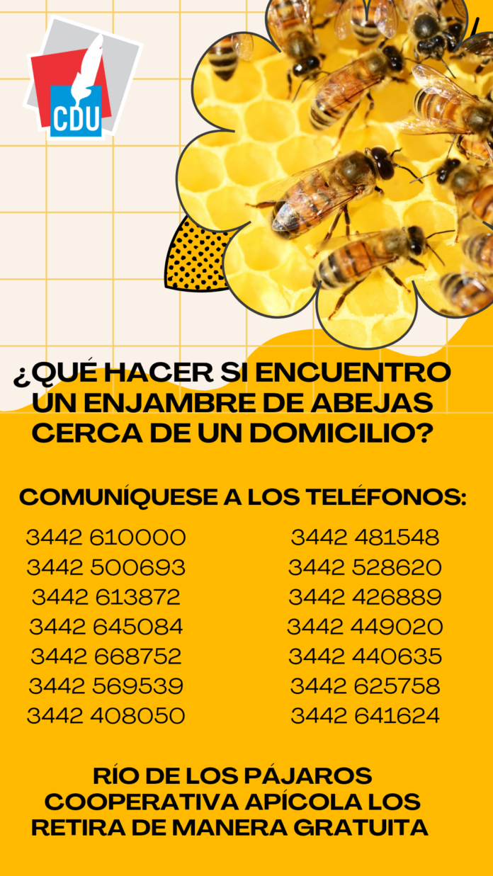 retiro de enjambres.