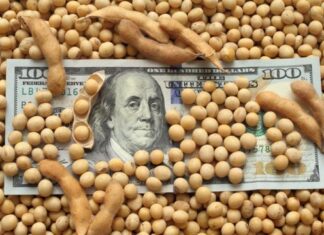 El lunes se reabre el programa dólar soja con una cotización de $230
