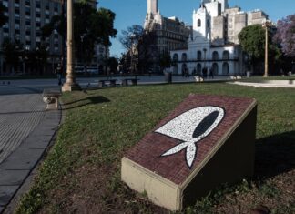 Marchan en Plaza de Mayo para honrar a Hebe de Bonafini