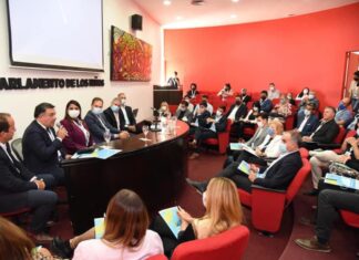 Concepción participó del plenario por el Día Mundial de las Ciudades del Aprendizaje