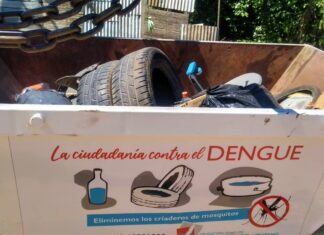 Prevención contra el dengue: Otro fin de semana para descacharrizar