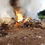 p1 bomberos – incendio forestal3