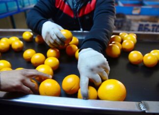 Destacan la apertura de los mercados de Vietnam