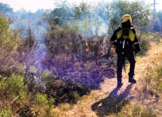 Hubo varias salidas por incendios de pastizales