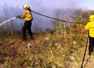 Prohíben efectuar quemas hasta fines de febrero en territorio entrerriano