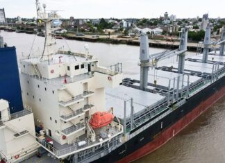 El Izanagi Harmony carga troncos de pino para India