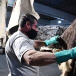 p8 – El índice de salarios creció un 6,5%