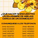 retiro_de_enjambres