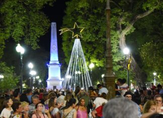 Por primera vez se encendió el arbolito de Navidad ante el público presente