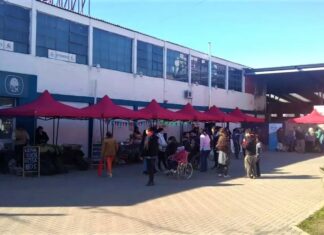 La Feria en tu Barrio llegó a Parque Sur